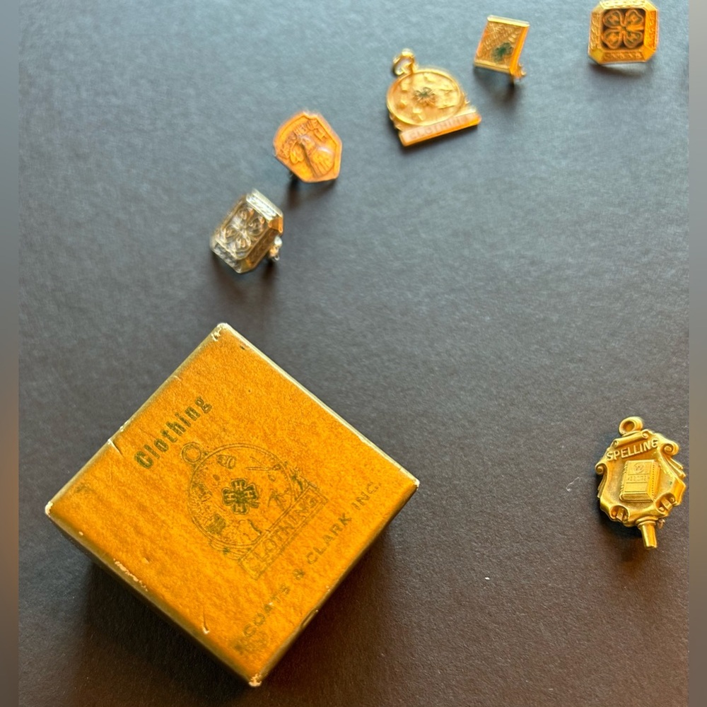 4H, academic pins- vintage. 4H pin Box - Picture 8 of 9